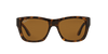 [Brown Lenses, Polished Light Havana Frame]