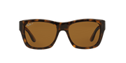 Brown Lenses, Polished Light Havana Frame