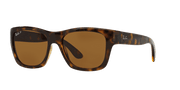 Brown Lenses, Polished Light Havana Frame