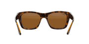 Brown Lenses, Polished Light Havana Frame