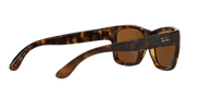 Brown Lenses, Polished Light Havana Frame