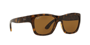 Brown Lenses, Polished Light Havana Frame