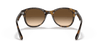 [Brown Gradient Dark Brown Lenses, Polished Light Havana Frame]