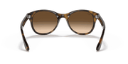 Brown Gradient Dark Brown Lenses, Polished Light Havana Frame