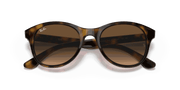 Brown Gradient Dark Brown Lenses, Polished Light Havana Frame