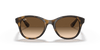 [Brown Gradient Dark Brown Lenses, Polished Light Havana Frame]