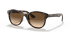 [Brown Gradient Dark Brown Lenses, Polished Light Havana Frame]