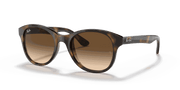 Brown Gradient Dark Brown Lenses, Polished Light Havana Frame