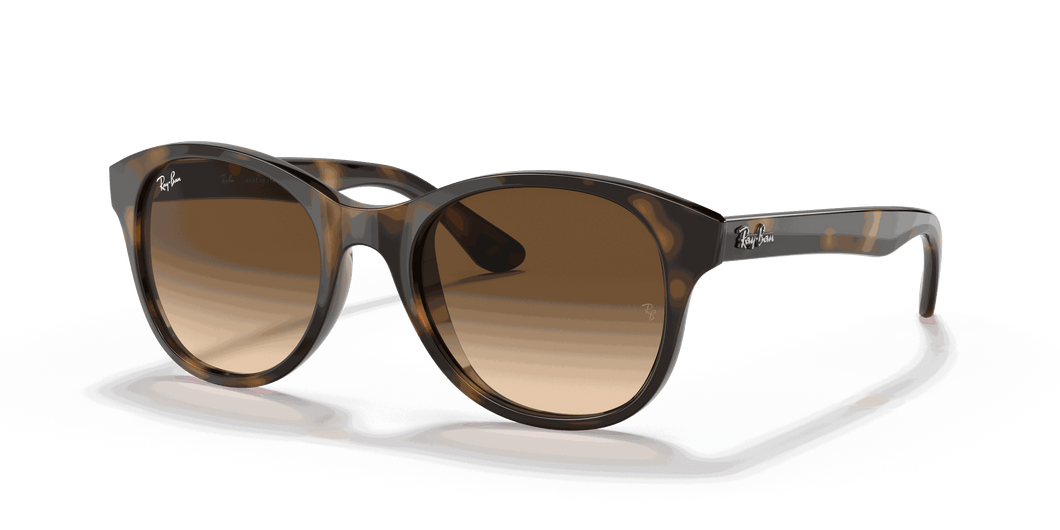 [Brown Gradient Dark Brown Lenses, Polished Light Havana Frame]