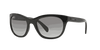 [Grey Gradient Lenses, Polished Black Frame]