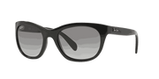 Grey Gradient Lenses, Polished Black Frame