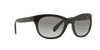 [Grey Gradient Lenses, Polished Black Frame]