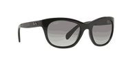 Grey Gradient Lenses, Polished Black Frame