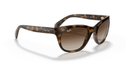 Brown Gradient Dark Brown Lenses, Polished Light Havana Frame