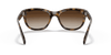 [Brown Gradient Dark Brown Lenses, Polished Light Havana Frame]