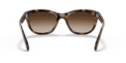 Brown Gradient Dark Brown Lenses, Polished Light Havana Frame