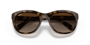 Brown Gradient Dark Brown Lenses, Polished Light Havana Frame