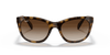 [Brown Gradient Dark Brown Lenses, Polished Light Havana Frame]