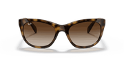 Brown Gradient Dark Brown Lenses, Polished Light Havana Frame