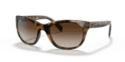 Brown Gradient Dark Brown Lenses, Polished Light Havana Frame