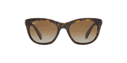 Brown Lenses, Polished Light Havana Frame