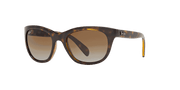 Brown Lenses, Polished Light Havana Frame