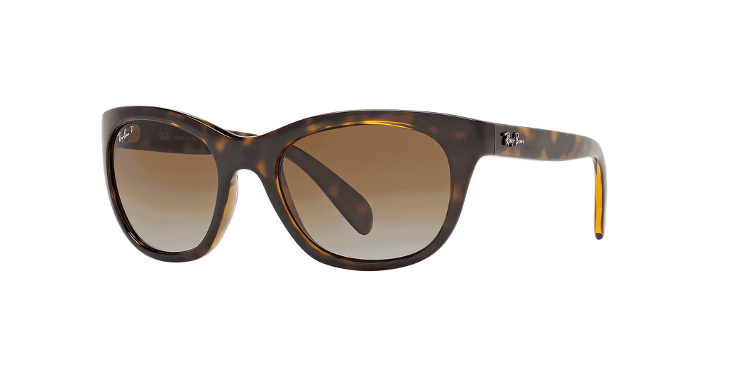 [Brown Lenses, Polished Light Havana Frame]