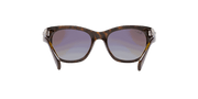 Brown Lenses, Polished Light Havana Frame