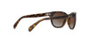 [Brown Lenses, Polished Light Havana Frame]