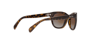 Brown Lenses, Polished Light Havana Frame