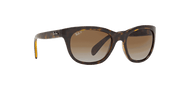 Brown Lenses, Polished Light Havana Frame