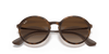 [Brown Gradient Dark Brown Lenses, Matte Havana Frame]