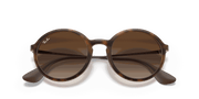 Brown Gradient Dark Brown Lenses, Matte Havana Frame