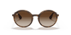 [Brown Gradient Dark Brown Lenses, Matte Havana Frame]