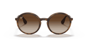 Brown Gradient Dark Brown Lenses, Matte Havana Frame