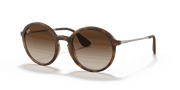 Brown Gradient Dark Brown Lenses, Matte Havana Frame