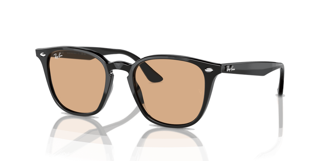 [Brown Lenses, Polished Black Frame]