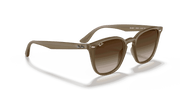 Brown Gradient Dark Brown Lenses, Polished Beige Frame