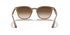 [Brown Gradient Dark Brown Lenses, Polished Beige Frame]