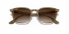 [Brown Gradient Dark Brown Lenses, Polished Beige Frame]