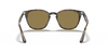 [B-15 Brown Lenses, Polished Light Havana Frame]