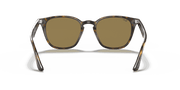 B-15 Brown Lenses, Polished Light Havana Frame