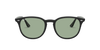 [Light Green Classic Lenses, Polished Black Frame]