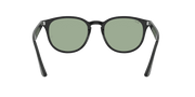 Light Green Classic Lenses, Polished Black Frame