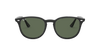 [Green Classic Lenses, Polished Black Frame]