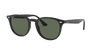 [Green Classic Lenses, Polished Black Frame]