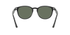 [Green Classic Lenses, Polished Black Frame]