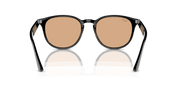 Brown Lenses, Polished Black Frame