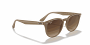 Brown Gradient Lenses, Polished Beige Frame