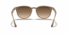 [Brown Gradient Lenses, Polished Beige Frame]